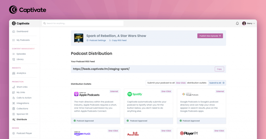 A screenshot of the Captivate dashboard, with successful submissions to Apple Podcasts, Spotify, Google, Amazon, Podcast Index and Player FM. 